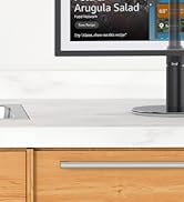 echo show 21 metal stand