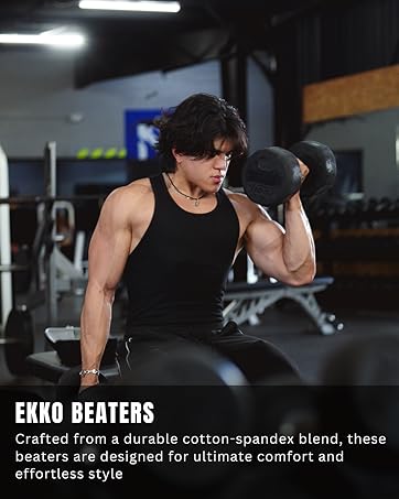ekkovision