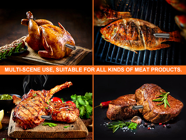 Plus Wireless Meat Thermometer Bluetooth with Probe for Grilling/Cooking