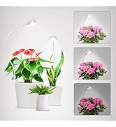 SGLEDs Grow Lights for Indoor Plants, Clip On Grow Light, Full Spectrum, 4000 K with 4-Level Dimm...
