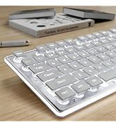 SEUNKWANG EWEADN GX710S Backlit Computer Keyboards, Wired USB Keyboard with White Backlit, Metal ...