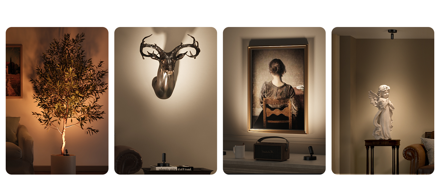 plant spotlight indoor