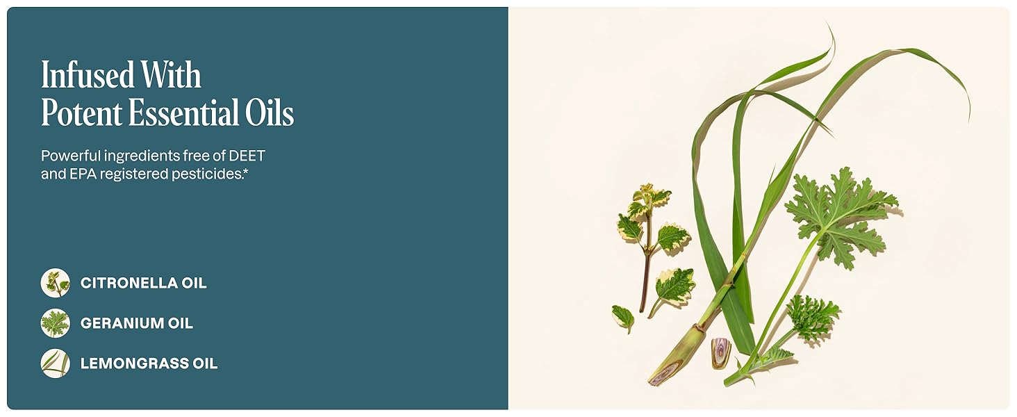 Infused with Potent Essential Oils