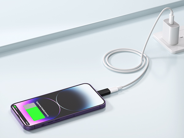 lightning male to usb c female