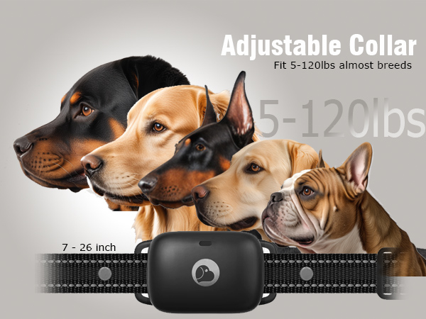 training collar for dogs shock collars for dogs with remote