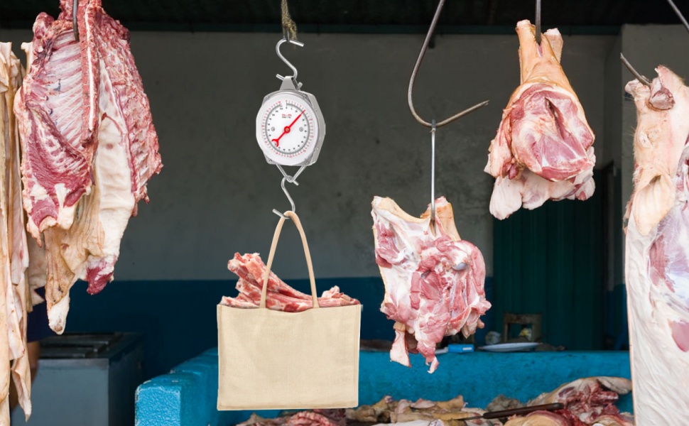 Precision Hanging Scale