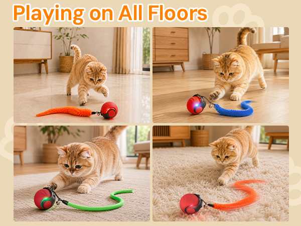 cat toys that move