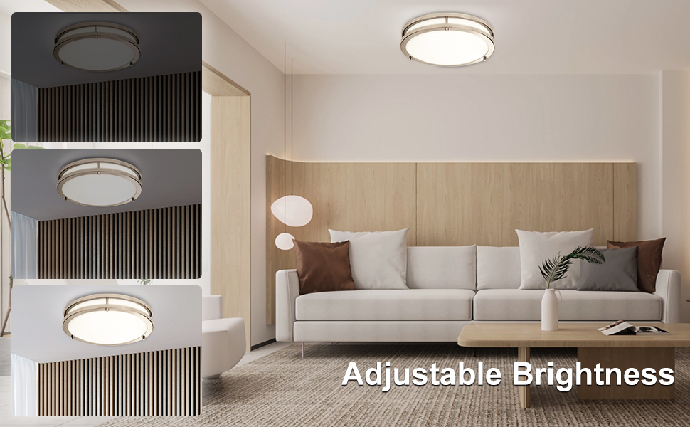 Ceiling Light Fixture