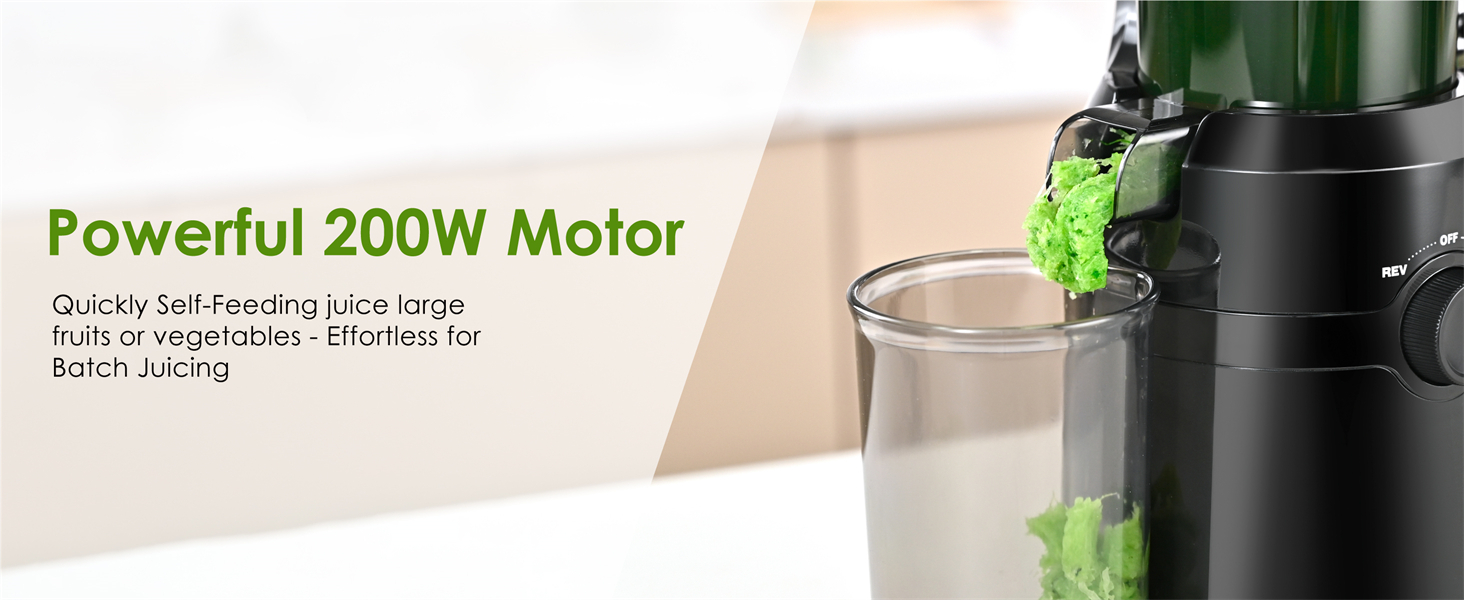 slow juicer reverse function quiet motor juicer machine vegetable fruit