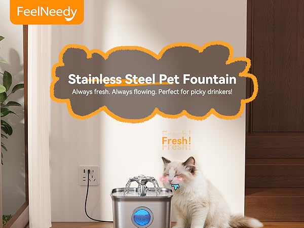 cat water fountain