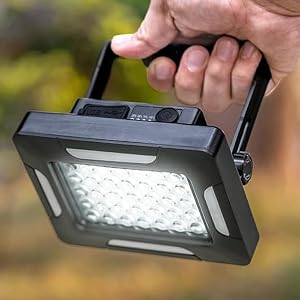 Handheld