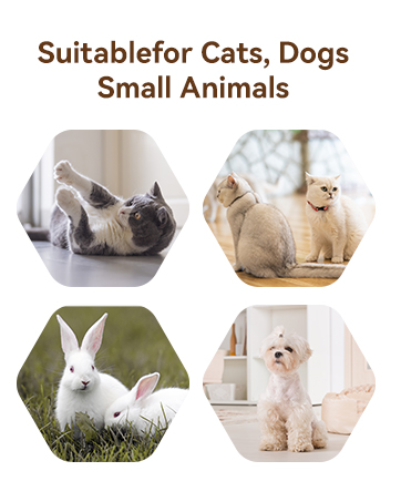 Automatic Cat Feeder