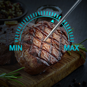 11050 Cooking Grilling Meat Thermometer Temperature Restaurant Food