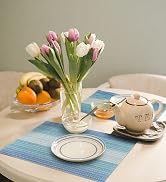 HeloHo Placemats Set of 4,Vinyl Table Place Mats, Heat Resistant Stain Resistant Foldable Placema...