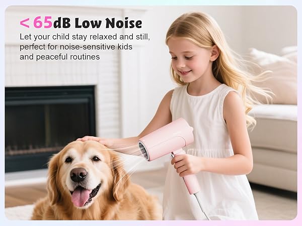 quiet hair dryer