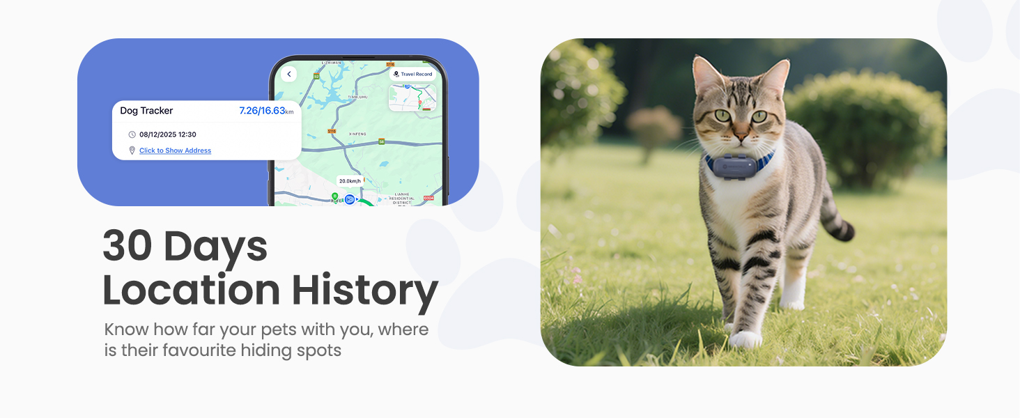 dog tracker collar gps dog