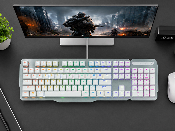 layout