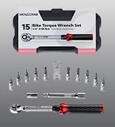 15pcs Bike torque wrench set