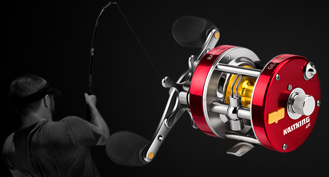baitcasting reel