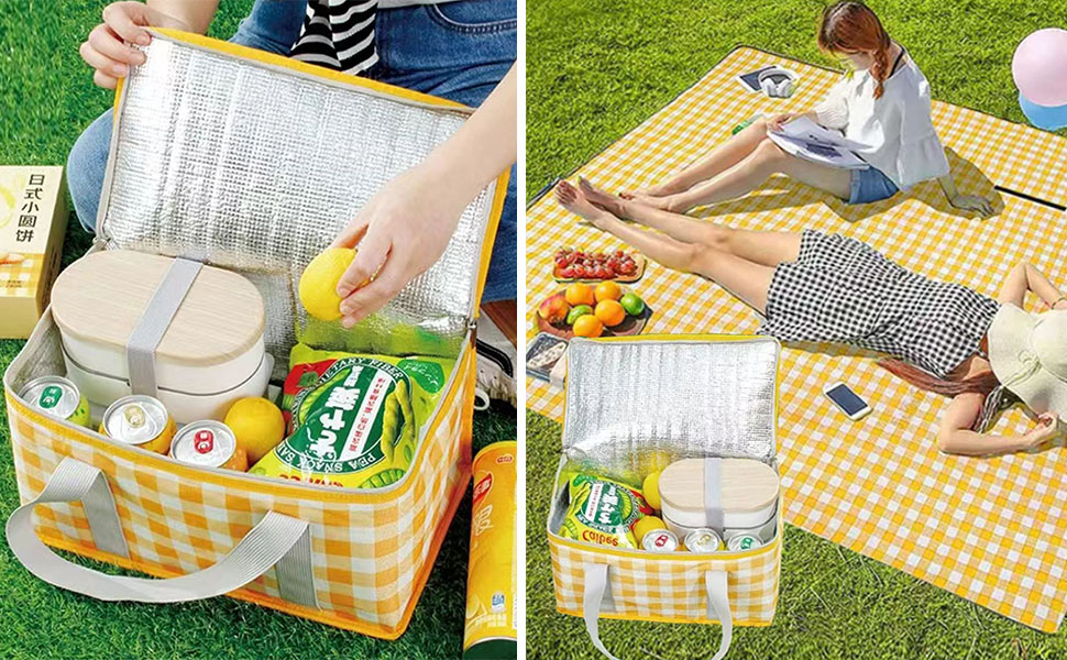 Insulated Food Delivery Bag
