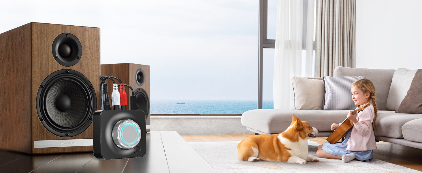 Bluetooth receiver for home stereo