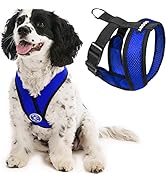 Gooby Comfort X Head In Harness - Blue, Medium - No Pull Small Dog Harness, Patented Choke-Free X...