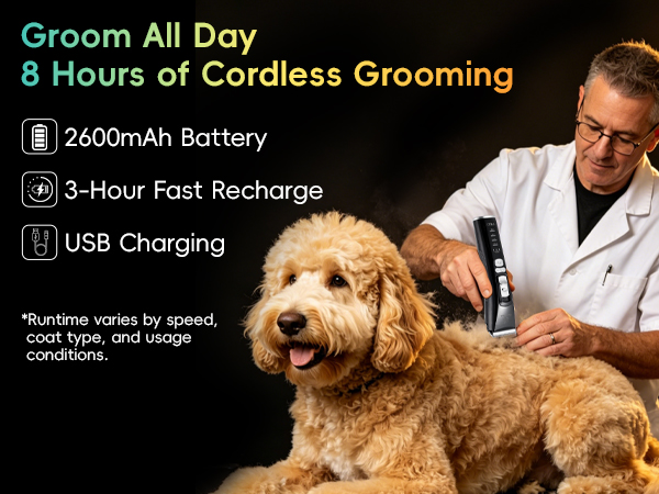 Groom All Day
