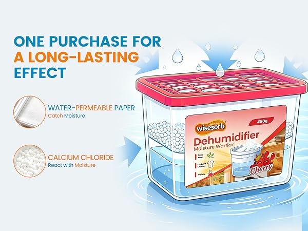 450g Dehumidifier with Fragrance