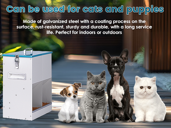 cat feeding feeder station with storage