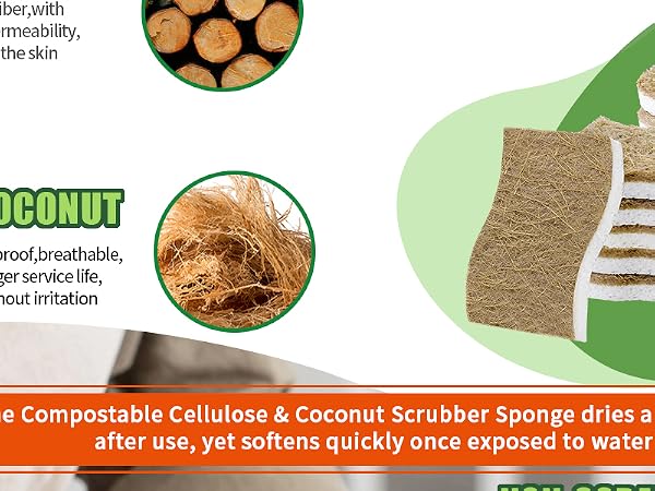 Sponges Kitchen Natural Dish Sponge