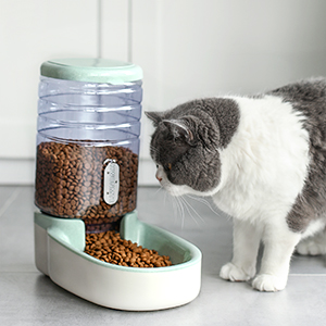 cat feeder and waterer 3