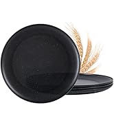 Dinner Plate, MISS BIG 10 inches Dinner Plates Set of 4,Lightweight Wheat Straw Plates, for Child...