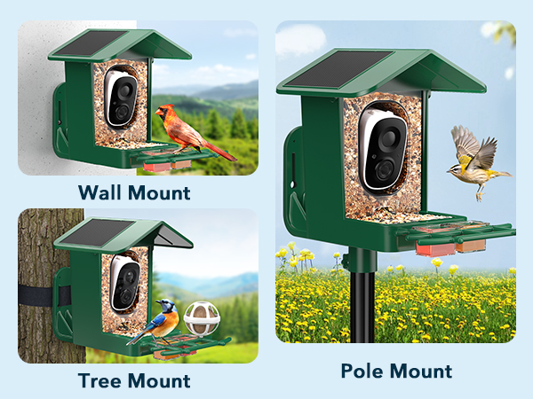camera bird feeders for outside