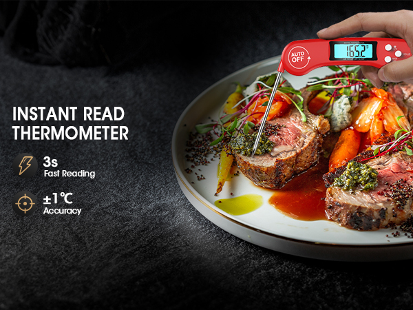 meat thermometer