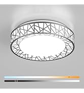 Lightania 20 Inch Flush Mount Ceiling Light, Modern Brushed Nickel LED Ceiling Light Fixture, 42W...