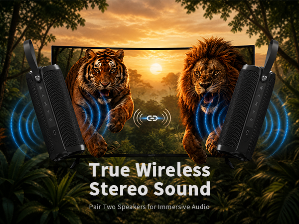 portable speaker