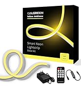 Galgreen Neon Rope Lights, 16.4ft Rope Lights with Dimmable Remote and Adapter, Waterproof Flexib...