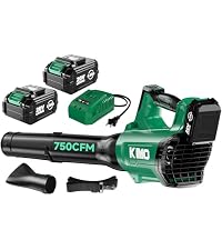 https://m.media-amazon.com/images/I/41S-hxIYkJL.__AC_SR200,225___.jpg