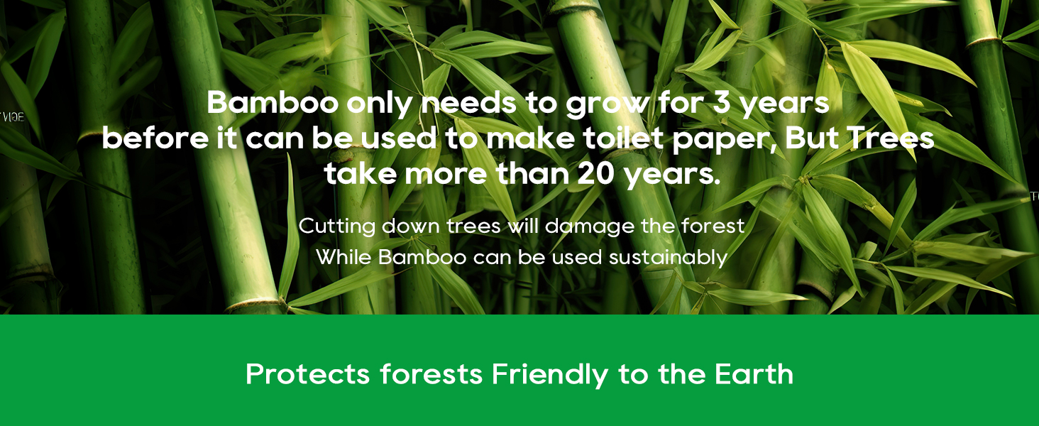 Tree-free Facial Tissues