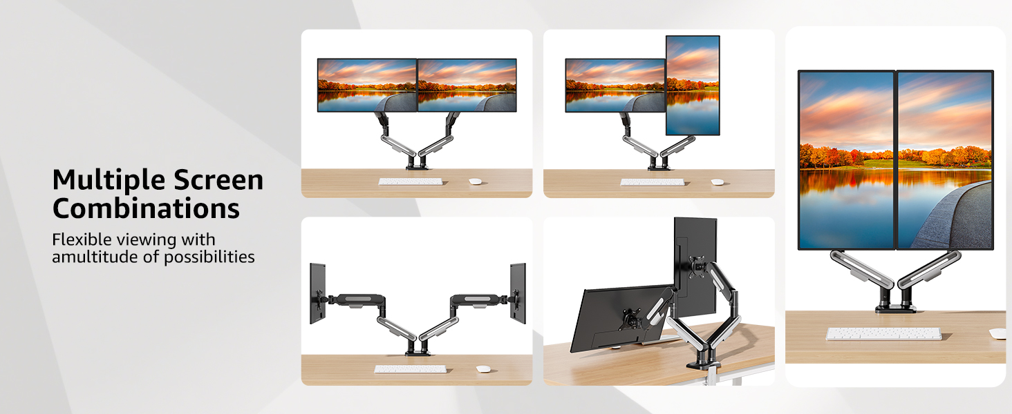 dual monitor mount