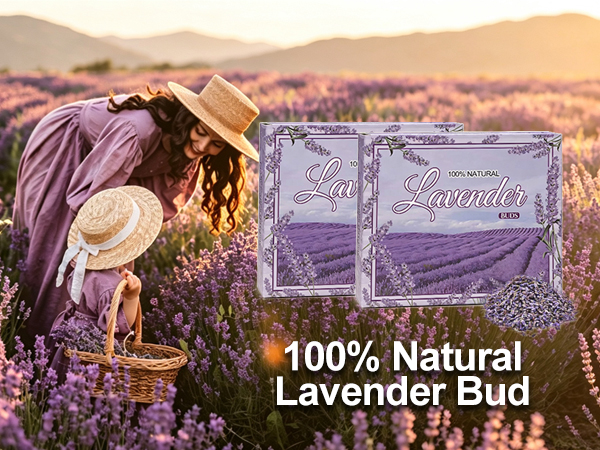 Dried Lavender Flowers