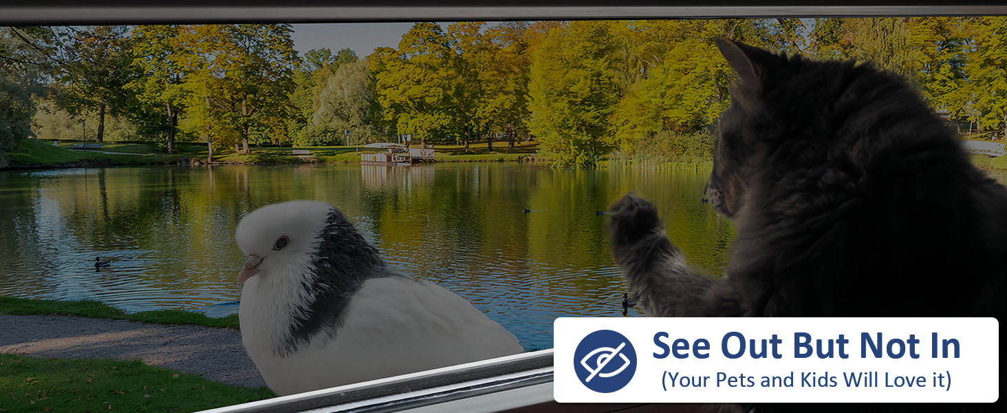 window privacy film see out not in