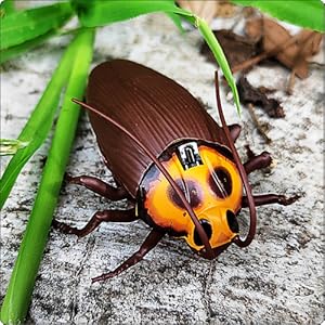 realistic rc cockroach simulation remote control roach insect toy animal kids gifts