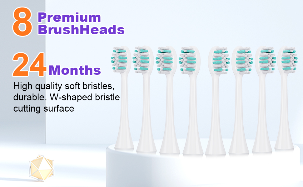 8 replacement brush heads