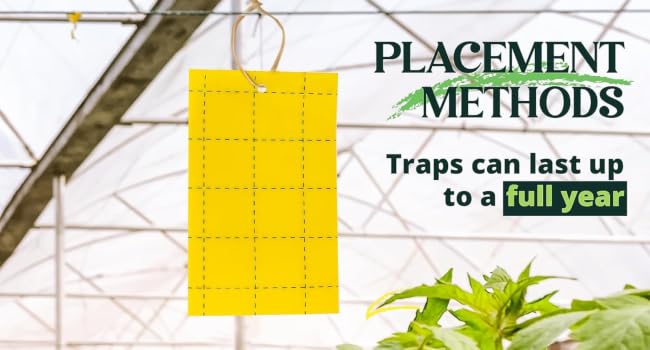 outdoor double side pest control glue trap