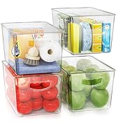 theaoo 4 Piece Clear Plastic Storage Bins | with Lids, Stackable, with Handle | Large