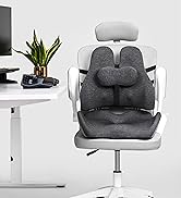 Matching seat cushion and lumbar pillow