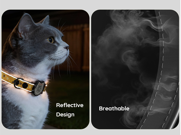 cat bell collar
