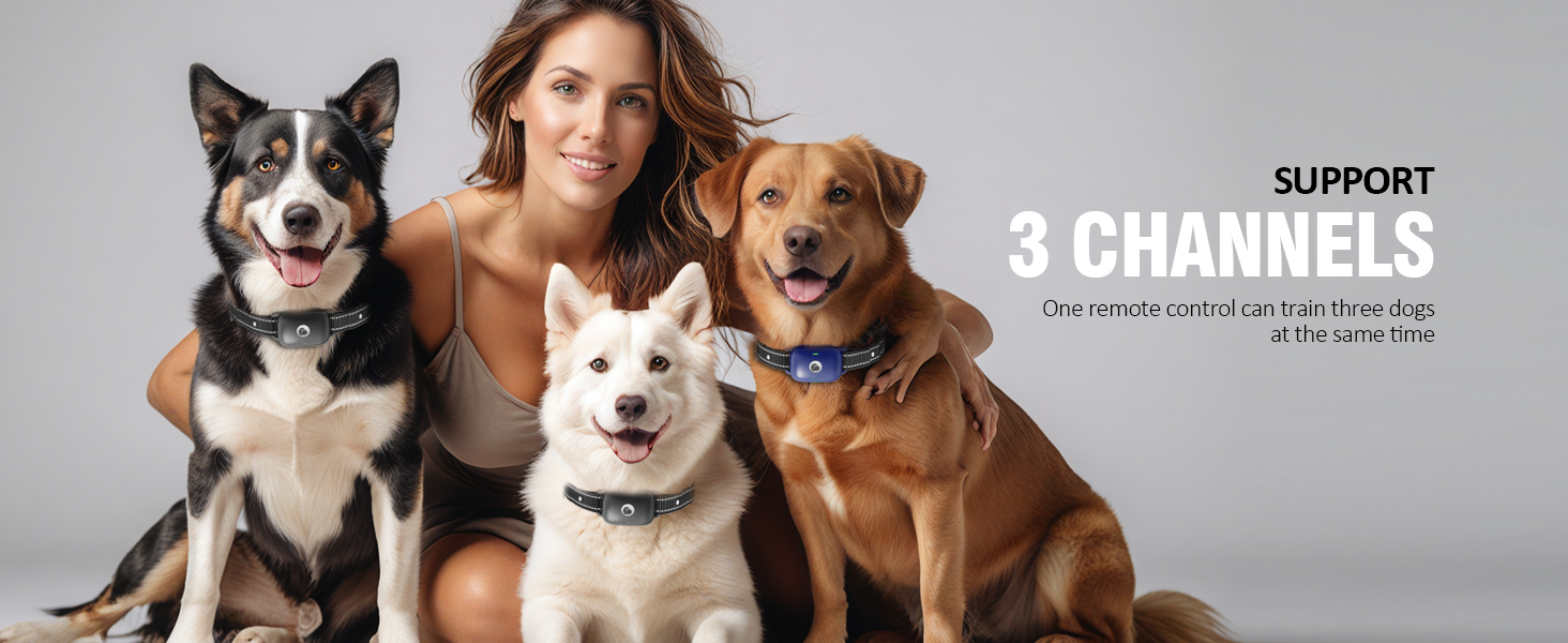 dog training collars cat shock collar with remote