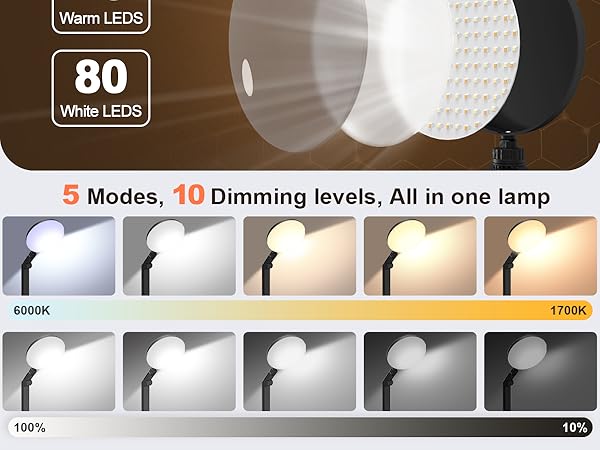 5 color temperature desk lamp